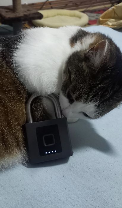 Lacat cu amprenta