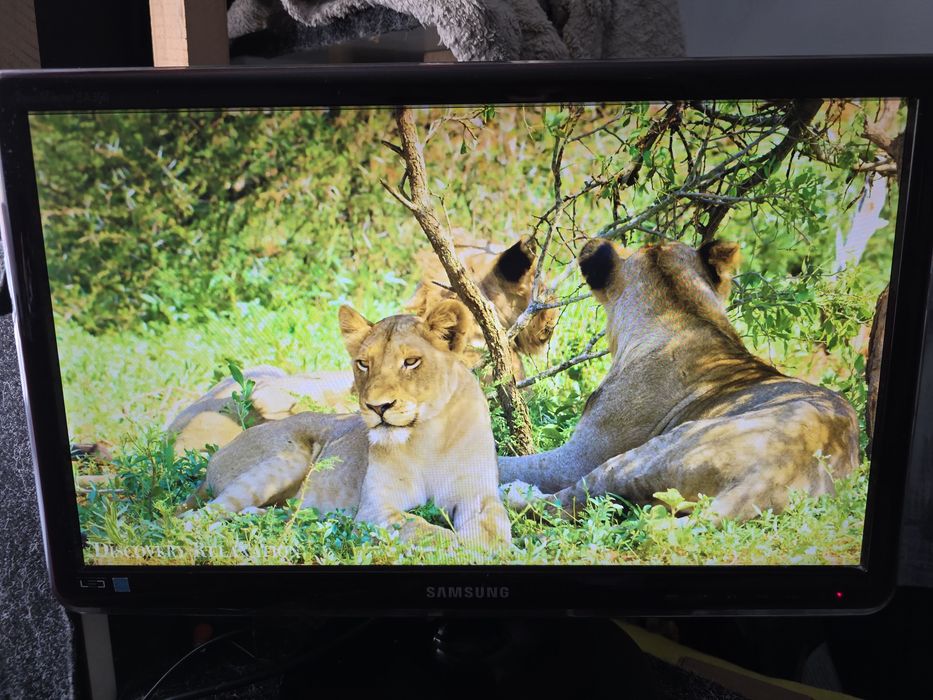 Монитор 21.5" Samsung LS22A350 (VGA)