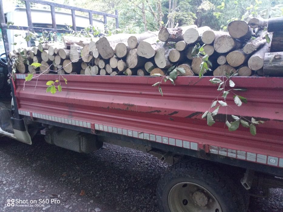 Lemn de fag pentru foc