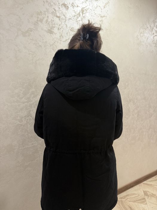 Черно яке  Парка
