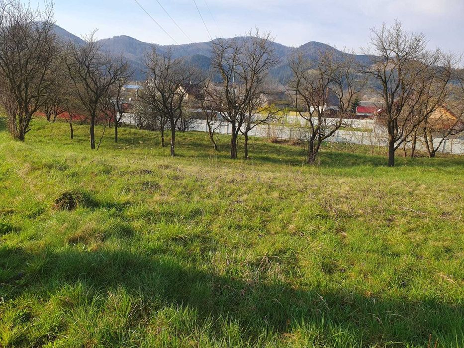 Teren(grădină) în Viișoara cu suprafața de 1800 m²