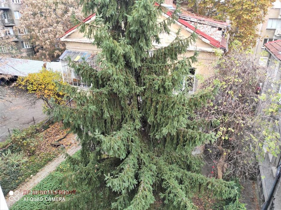 Дава се под наем Тристаен апартамент в София, Докторски паметник - 101 кв.м за 765 € - Снимка #15