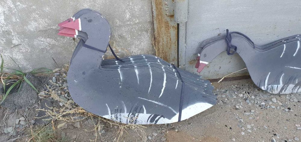 Продам профиля гусей