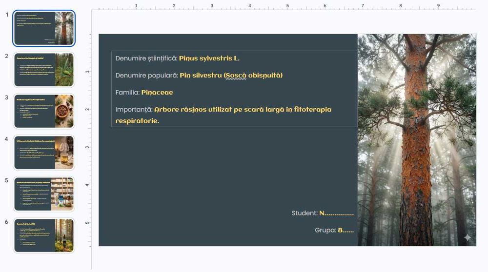 Ajutor Academic: Referate, Prezentări PowerPoint și Lucrări de Curs