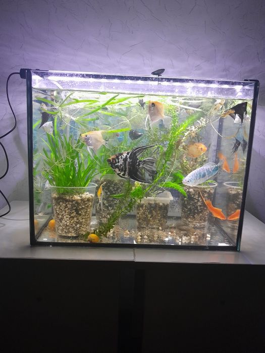 Продам новый аквариум