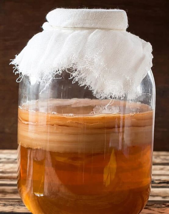 Продам чайный гриб