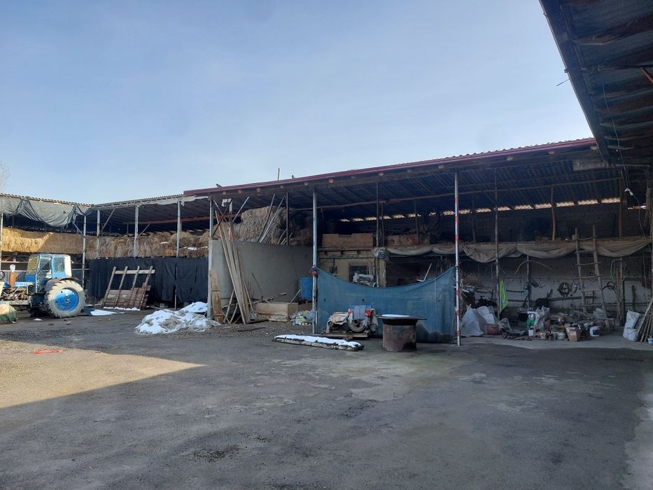 Tayor ferma sotiladi