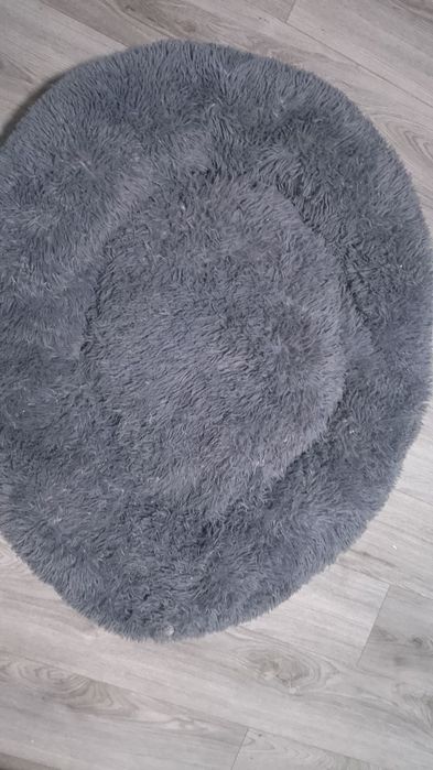 Pat câine, din pluș