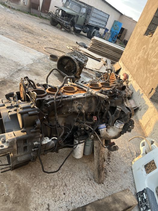 Reno Premium DXI 440