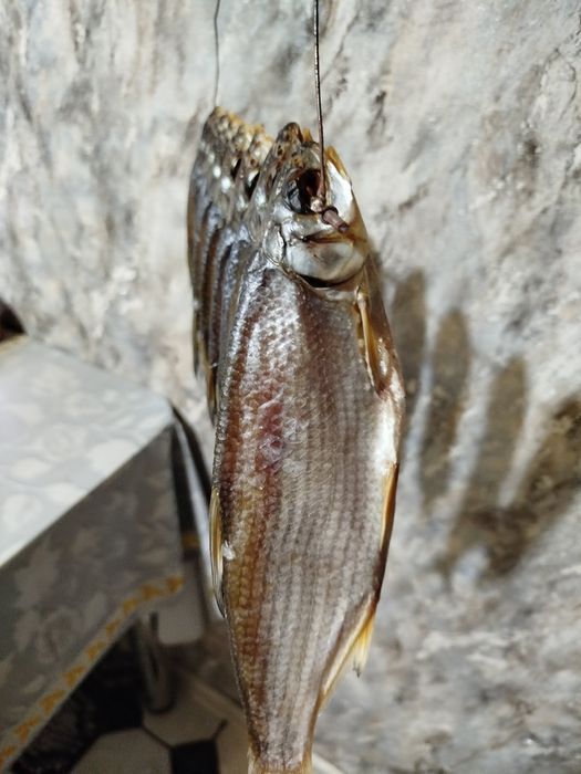 Продам сушёную рыбу