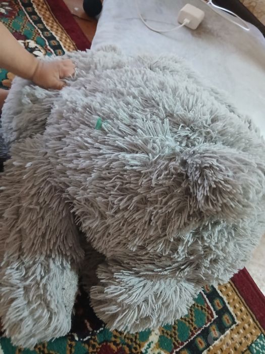 Teddy ayiqcha sotaman