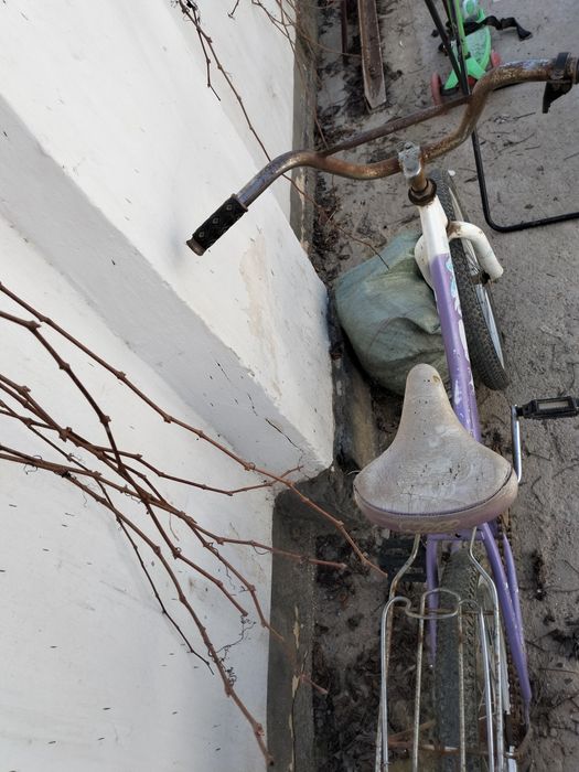 Велик сатлады арзан бағада