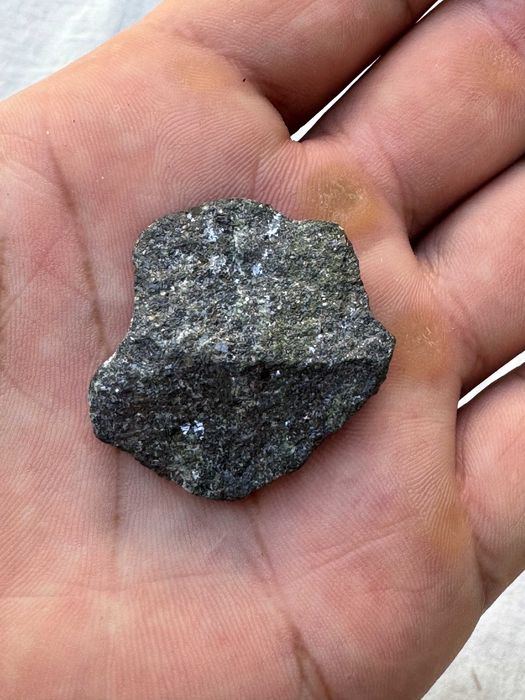 Коллекционерлар учун