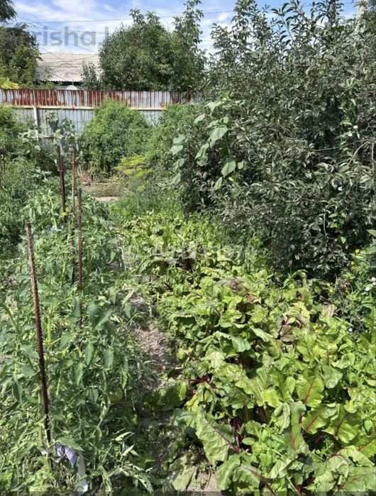 Продам частный дом