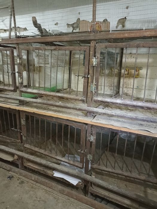 Продам клетки для кур
