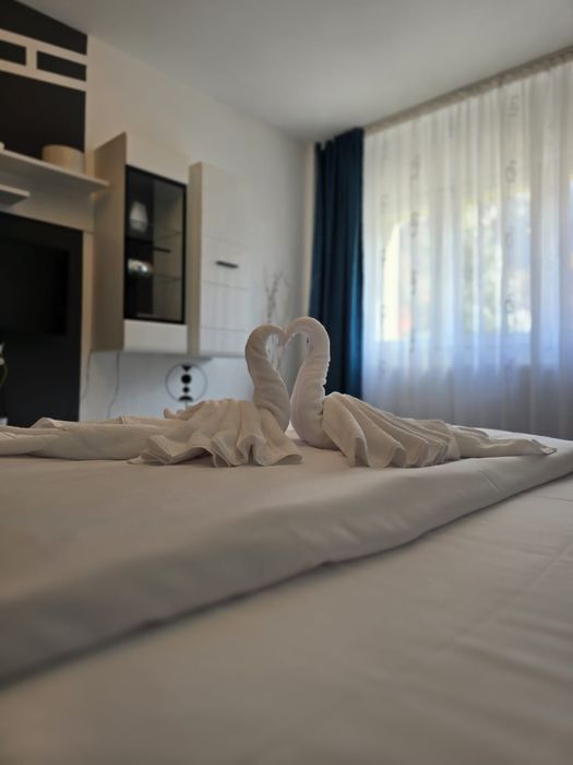 Apartament Sofy2  de inchiriat in regim hotelier