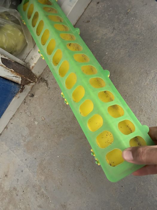 Кормушки для кур и цыплят