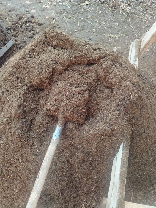 Чернозем, Перегной