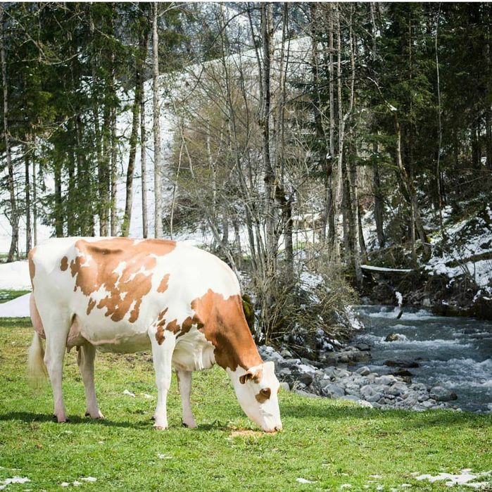 Chet-eldan mol olib kelamiz