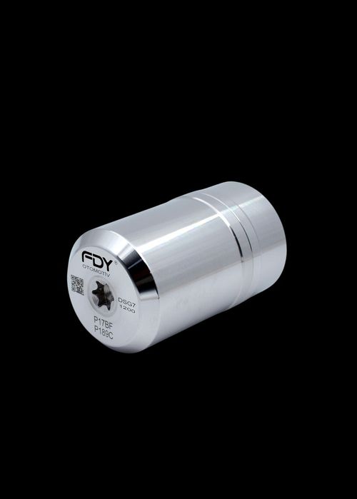 DSG 7 (FDY) Гидроаккумулятор