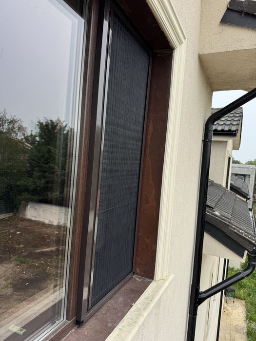 Plase insecte plise/evantai