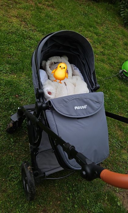 Carucior 2 în 1 Mavio Adventure pentru bebeluși