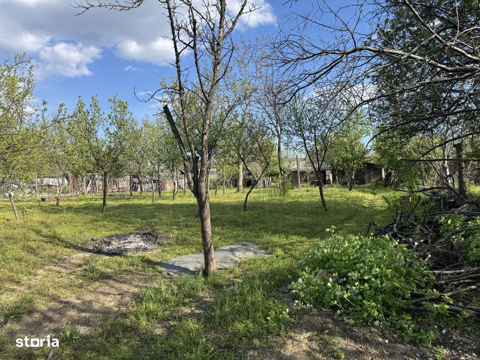 Ulmeni, Buzau, Casă cu pivniță și curte mare în mediul rural