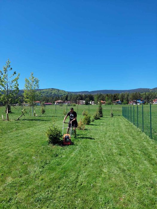 Парцел на Цигов чарк 1250 Квадратни метра