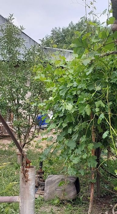 Продается дом с Кордай