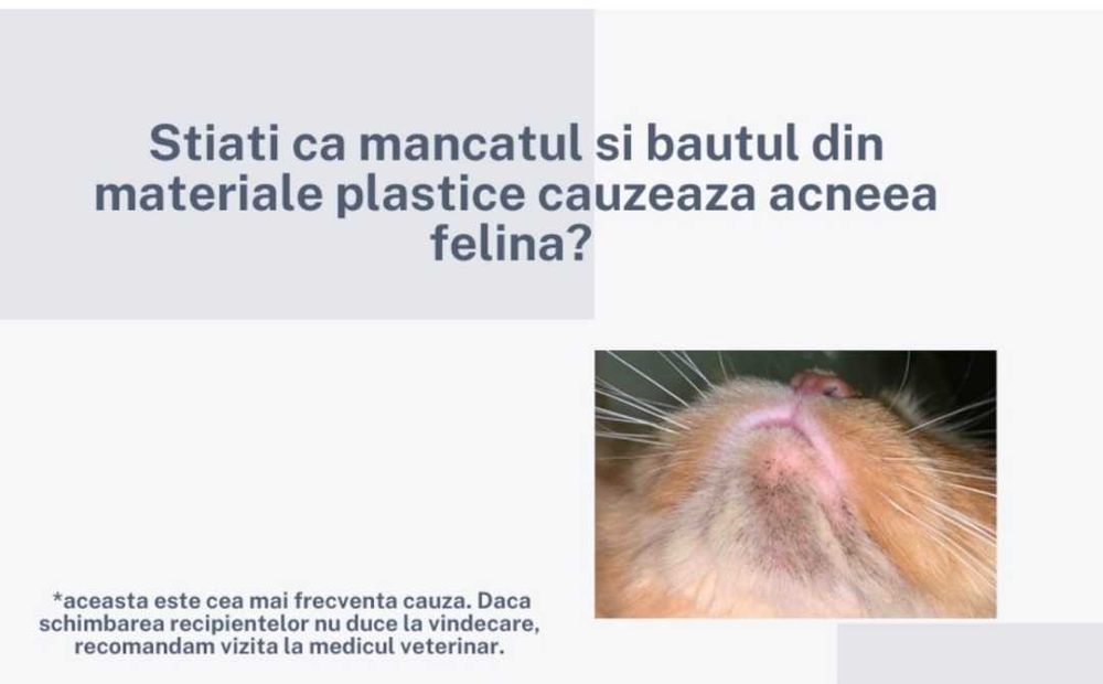 Fantana dispenser apa automat din ceramica, pentru pisici