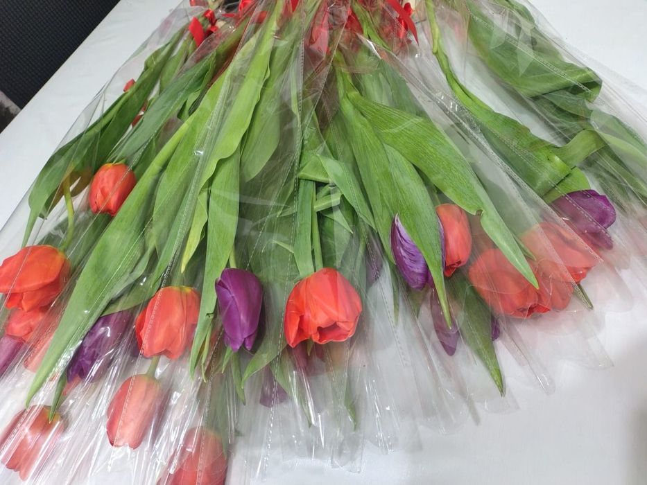 Тюльпаны красивые