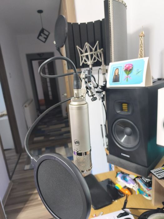 Microfon profesional de studio Warm Audio Wa47-jr