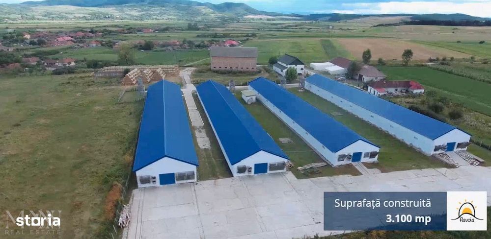 Fermă zootehnică – 4 Hale | De vanzare | Maeriște, jud. Salaj