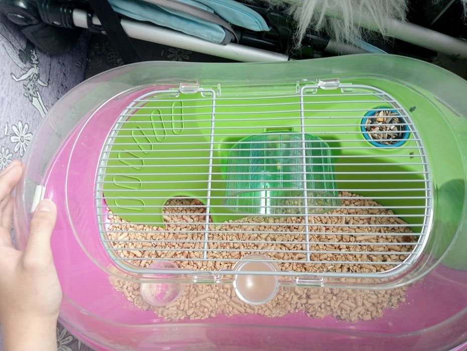 Продам хомяка с клеткой