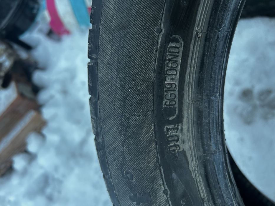 vand caucicuri de vara