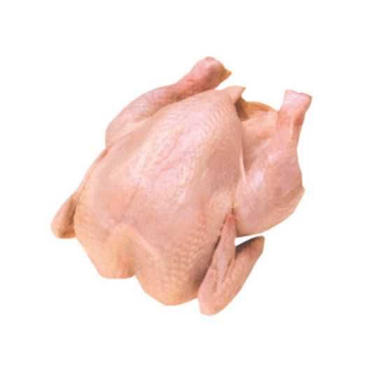 Домашняя аурица