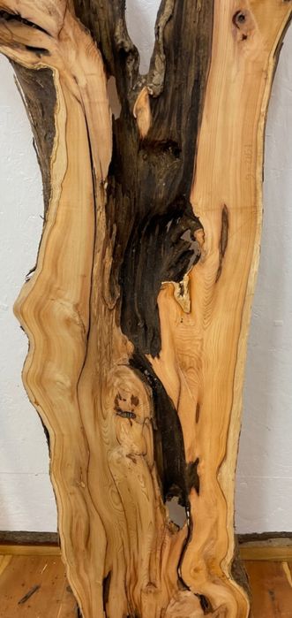 Cherestea blaturi rasină, lemn de nuc, stejar, dud, cires, ulm, paltin