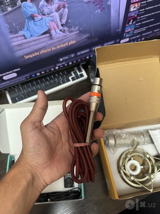 Professional Condenser Microphone