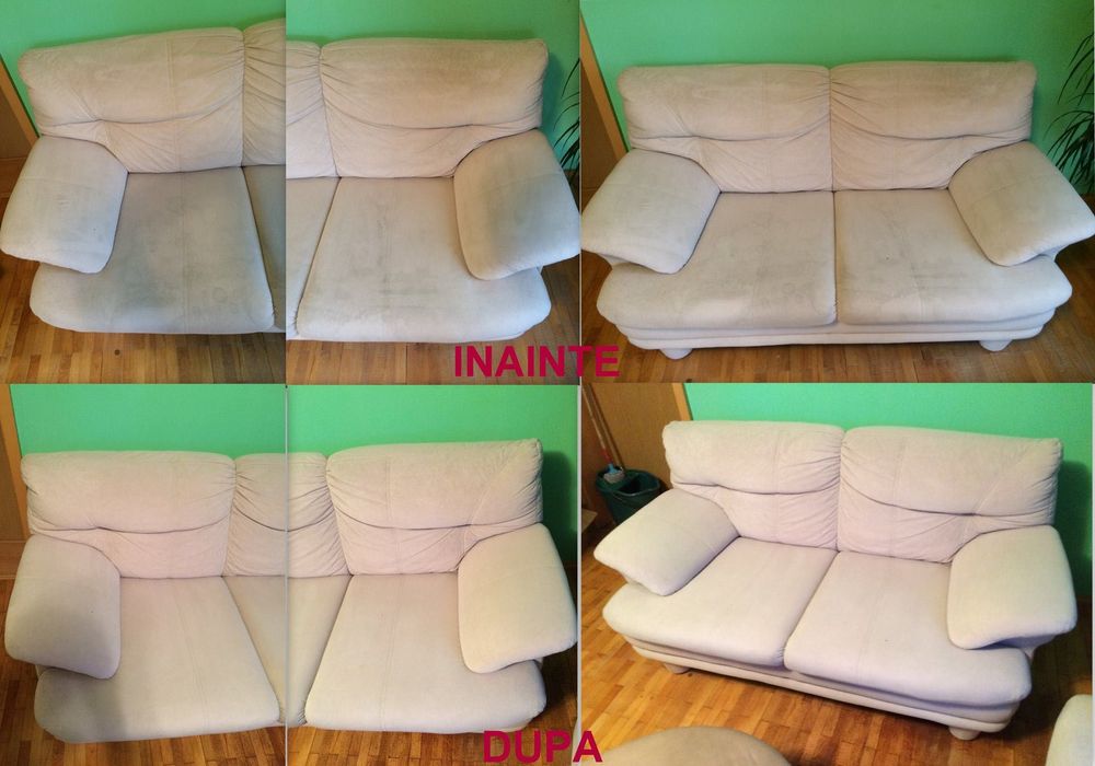 curator canapele și colțare