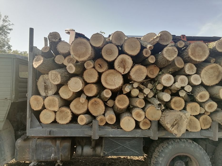 Дърва за огрев метровки бяло меше