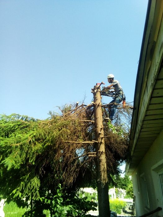 Alpinist utilitar izolatii exterioare cu polistiren