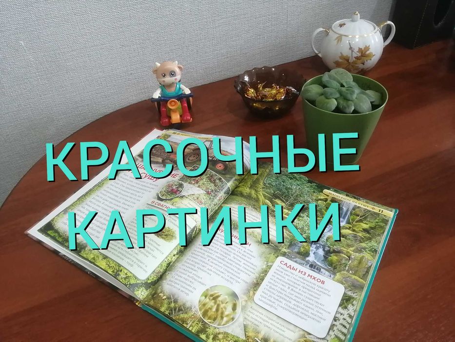 Энциклопедия для детей