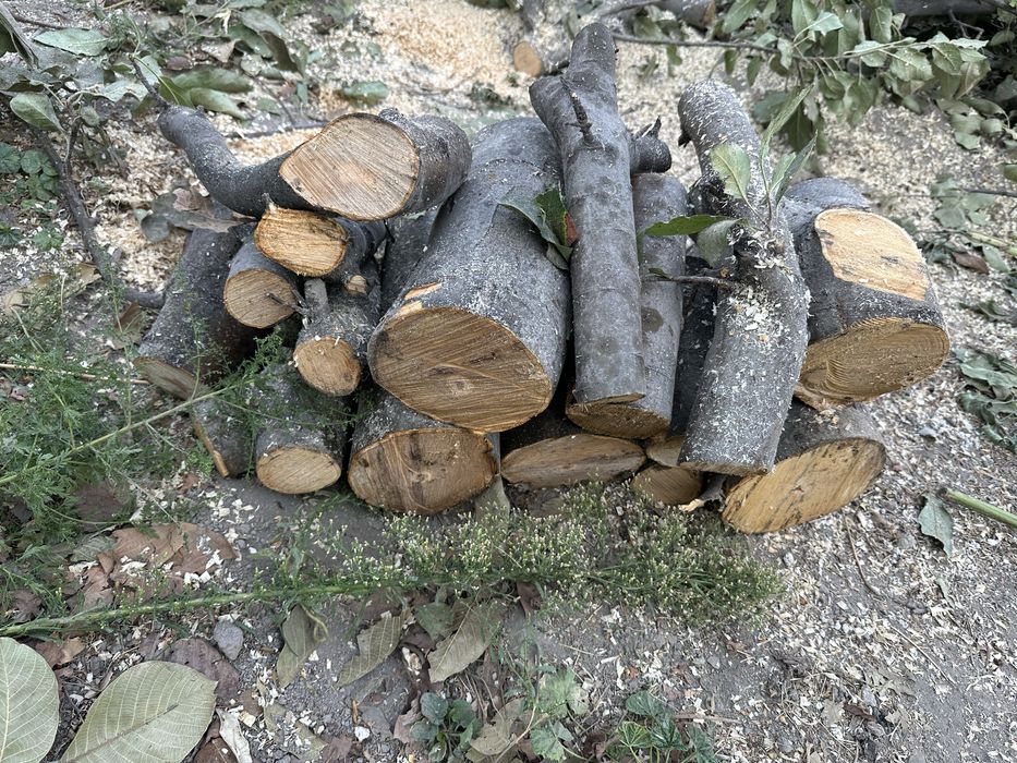 Утин сотилади мевали утин