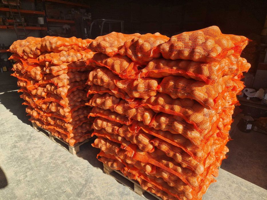 Cartofi de consum alb Marabel