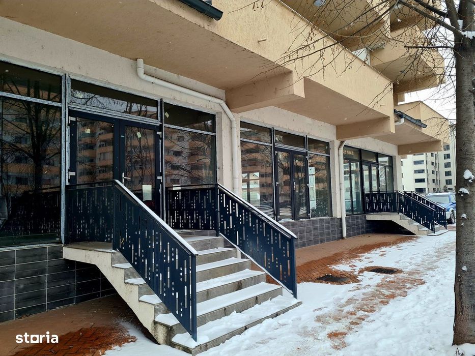 Spatii de vanzare / Dem Radulescu