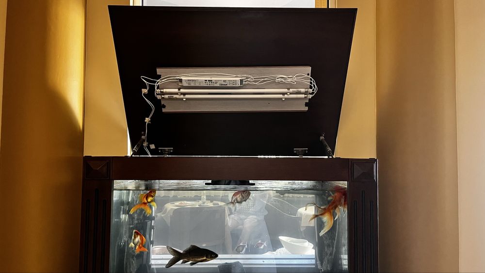 Аквариум 200 л с шкаф