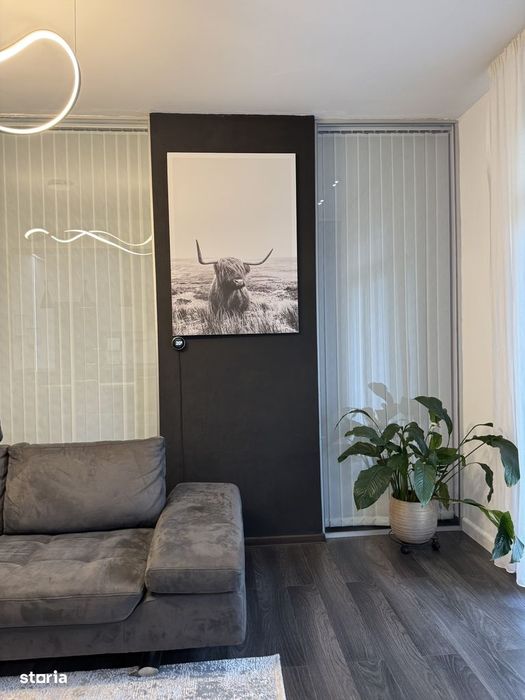 Apartament 2 camere cu gradina