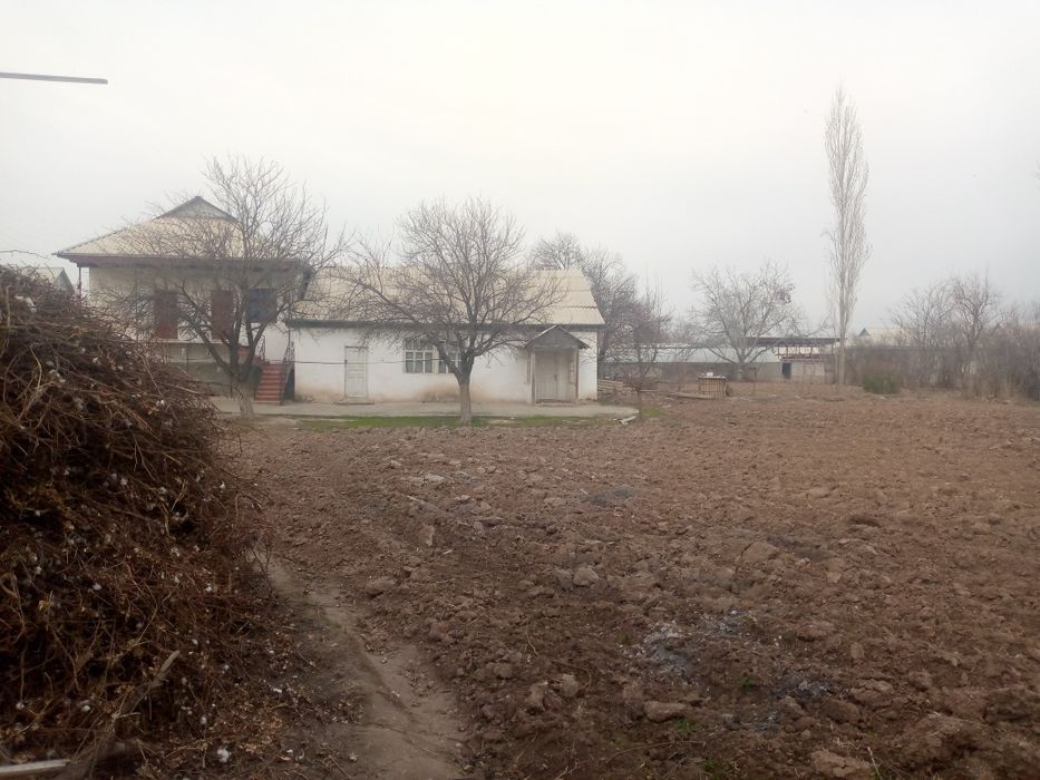 Денов туман хайработ чукучкишлок Ер сотилади сотиги 2500$дан 10сотих