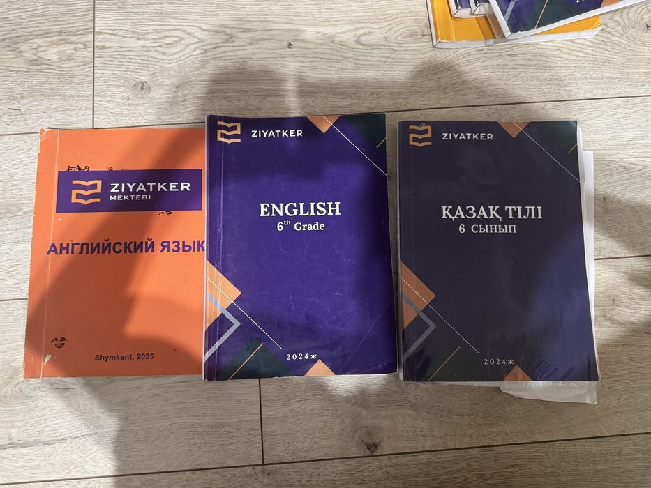 Книги Зияткер 6 класс