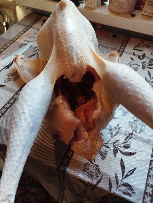 Мясо индейки, молодое